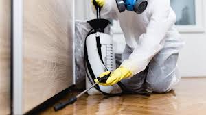 Best Termite Inspection and Treatment  in Clifton Springs, NY